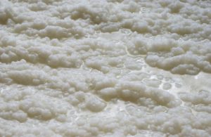 Papierpulpe (Papierbrei), © Verband der Schweizerischen Zellstoff-, Papier- und Kartonindustrie/ASPI Arbeitgeberverband Schweiz