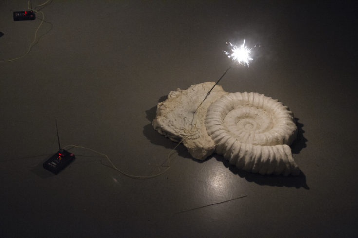 fossil-feast-2016-foto-paul-spengemann-_3