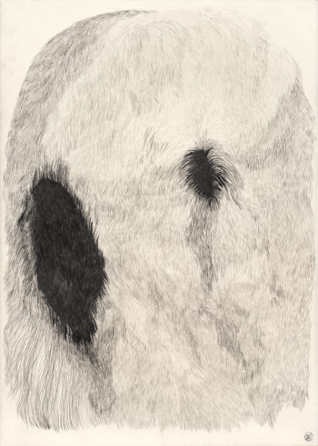 Tarnkappe, aus der Serie: Über das Verschwinden, 2015, Grafit auf Büttenpapier, 76 x 56 cm © VG Bild-Kunst, Bonn 2018/ Barbara Wrede, Foto: Friedhelm Hoffmann, Berlin