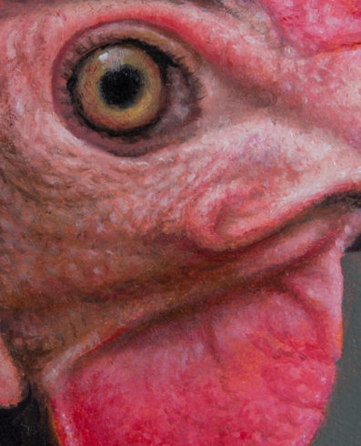 Portrait Hen (Detail)