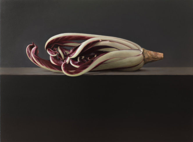 Radicchio I, 2019, Öl auf MDF, 29,8 x 40,2 cm