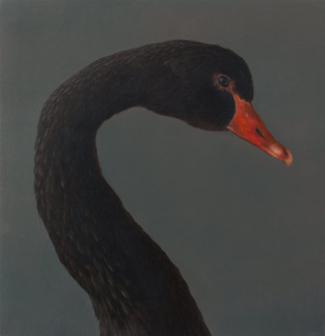 Schwarzer Schwan, 2018, Öl auf MDF, 31 x 30 cm