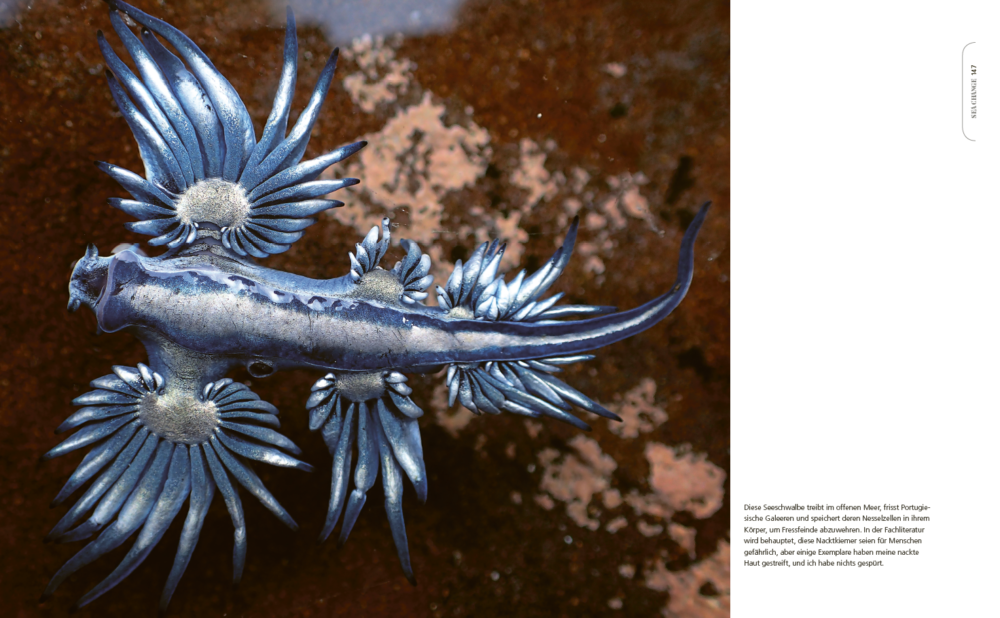 © Craig Foster Sea Change/Mosaik Verlag/Penguin Random House Verlagsgruppe 2022