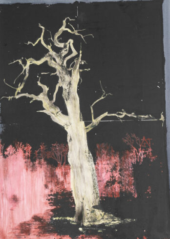 Cosima Hawemann, 2023, Ivenack a, Acryl und Siebdruck auf Karton, 70 x 50 cm_Foto Nadine Preiß
