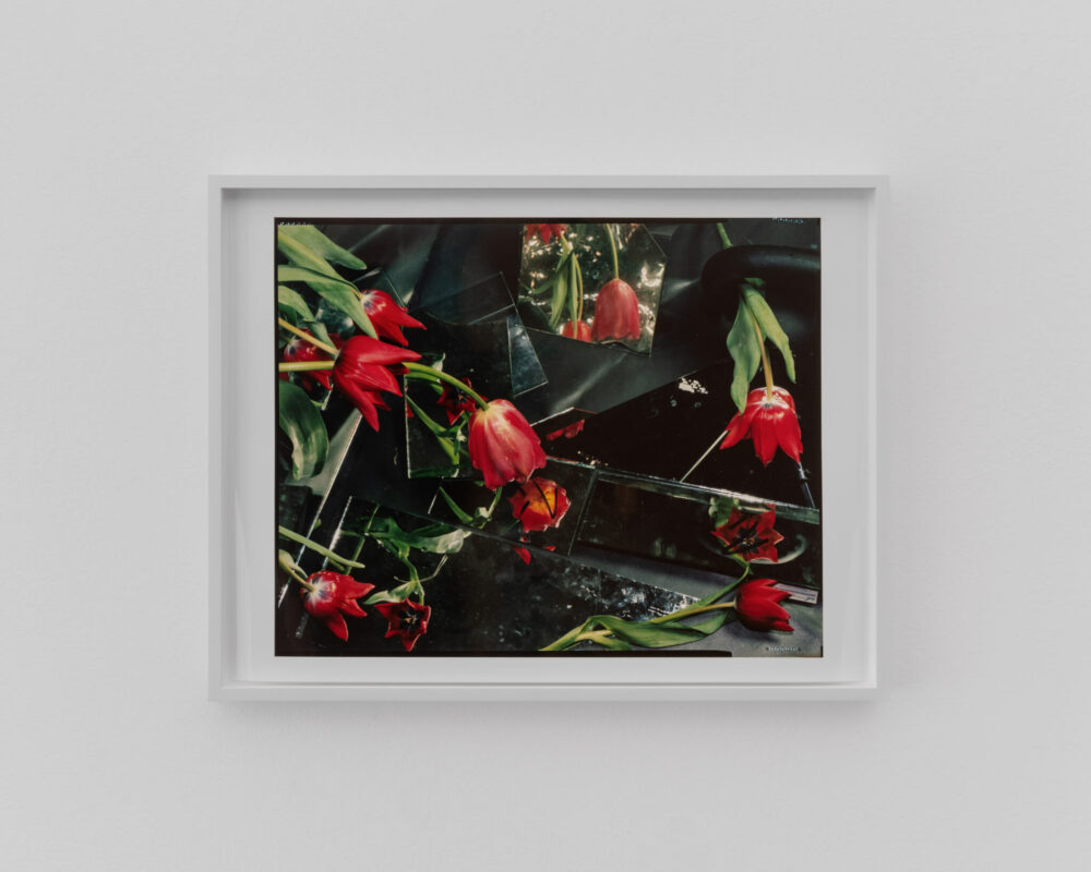Ketuta Alexi-Meskhishvili Tulip Season for Henri Analog C-Print (AP II/II of an edition of Two + II AP), 2024 © Ketuta Alexi-Meskhishvili and LC Queisser Tbi- lisi, Cologne, Foto: George Kolbaia