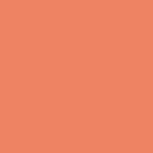 Shrimp Dark