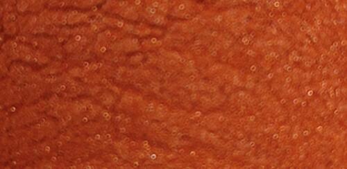 Light Orange