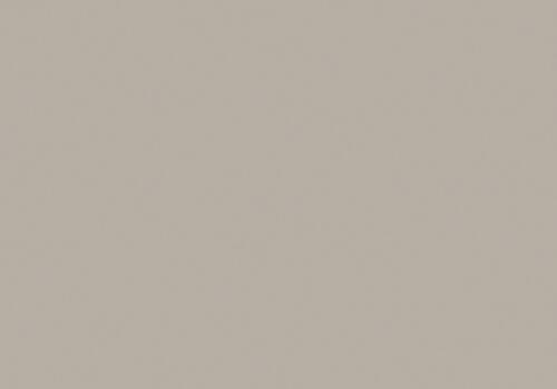 Warm grey III