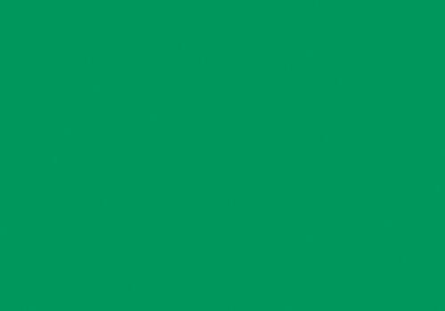 Monstera green