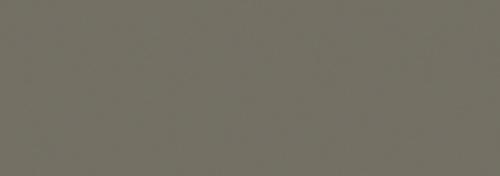 Warm Gray 8