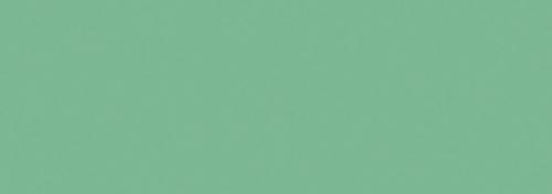 Ice Mint
