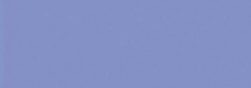 Hydrangea Blue