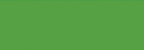 Bright Parrot Green