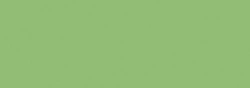 Grayish Olive