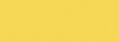 Maize