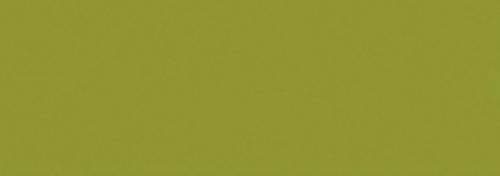 Spanish Olive