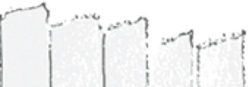 Weiß