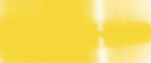 Yellow Sunflower